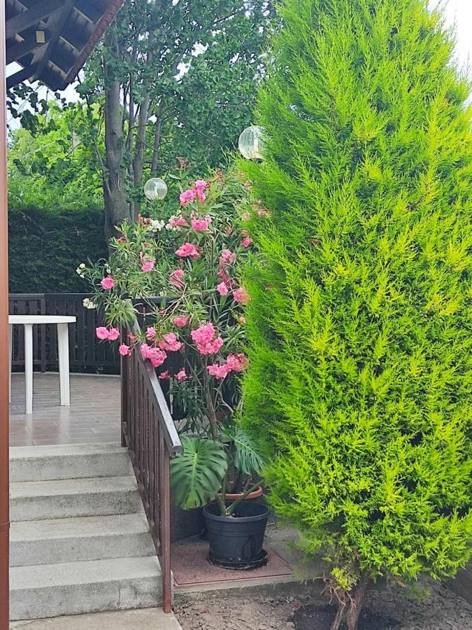 Ferienwohnung Arnika Vendeghaz Hajdúszoboszló Exterior foto